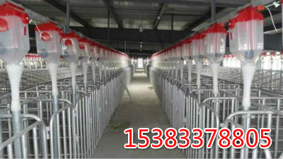 �B�i�Ԅӻ��Ͼ�